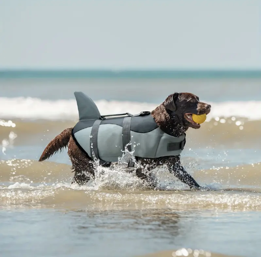 Top-Rated Dog life jacket