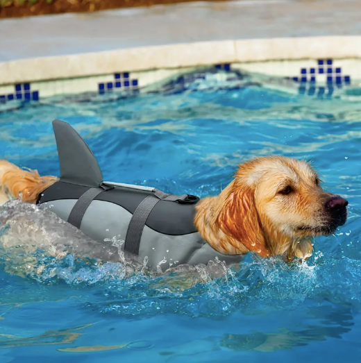 Top-Rated Dog life jacket